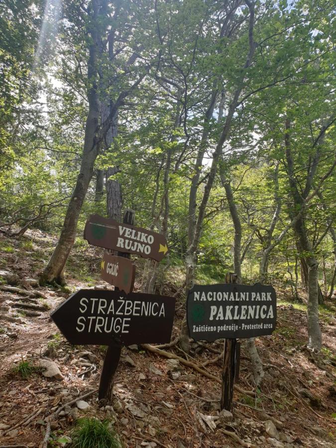 Vito Lejlighed Starigrad Paklenica Eksteriør billede