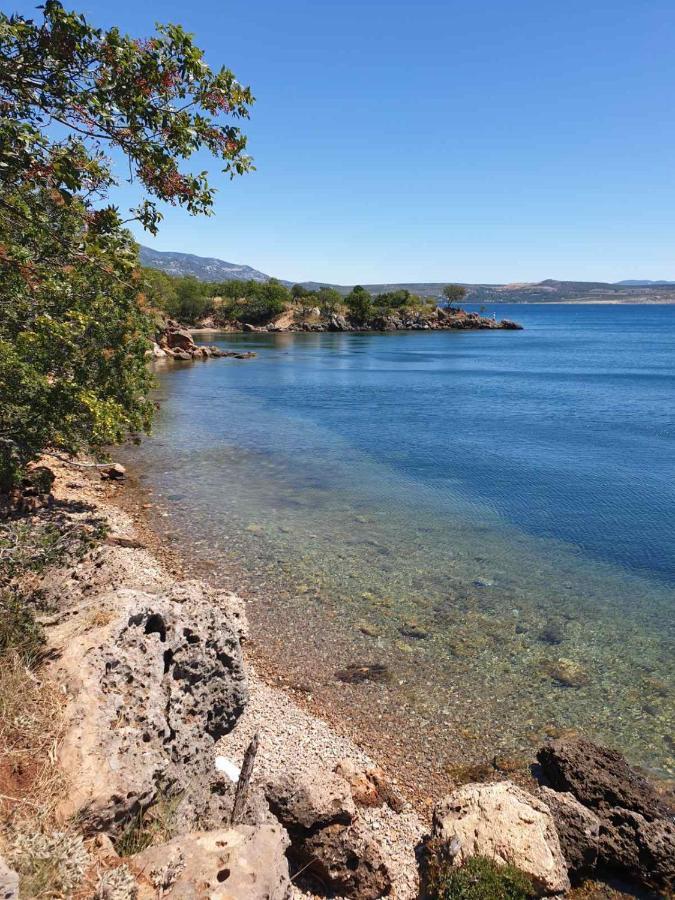 Vito Lejlighed Starigrad Paklenica Eksteriør billede